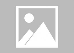 国产乱搞,探索与反思：乱象背后的行业真相