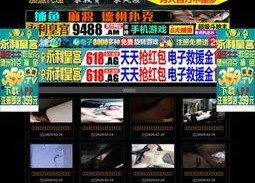 国产国内 在线,国内在线产业的崛起与发展概览